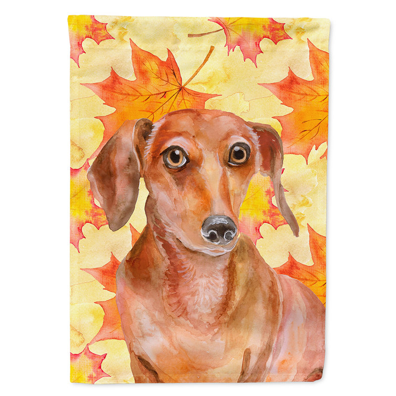 Automne 2 côtés en polyester 15 x 11 po drapeau de jardin, Teckel avant