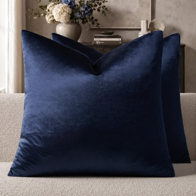 Velvet Decorative Throw Pillow Covers,Luxury Soft Accent Covers for couch sofa Living room （Set of 2）