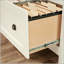 Classeur latéral moderne avec grand tiroir, parfait pour les solutions de rangement organisées et élégantes pour le bureau à domicile.