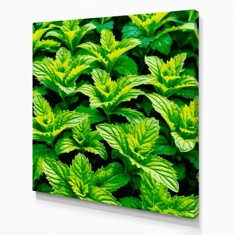 "Watercolor Botanical 64", art mural sur toile verte, H 16 po x l 16 po