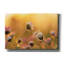 «Daisies» par Martin Podt, art mural sur toile-1218920973