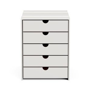 https://assets.wfcdn.com/im/36825947/resize-h300-w300%5Ecompr-r85/2542/254207455/File+Cabinet+Shelf+Organizing+Box+Settrays+5+Drawers+Closed.jpg