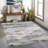Alban Indoor Shag Beige Area Rug-452110689