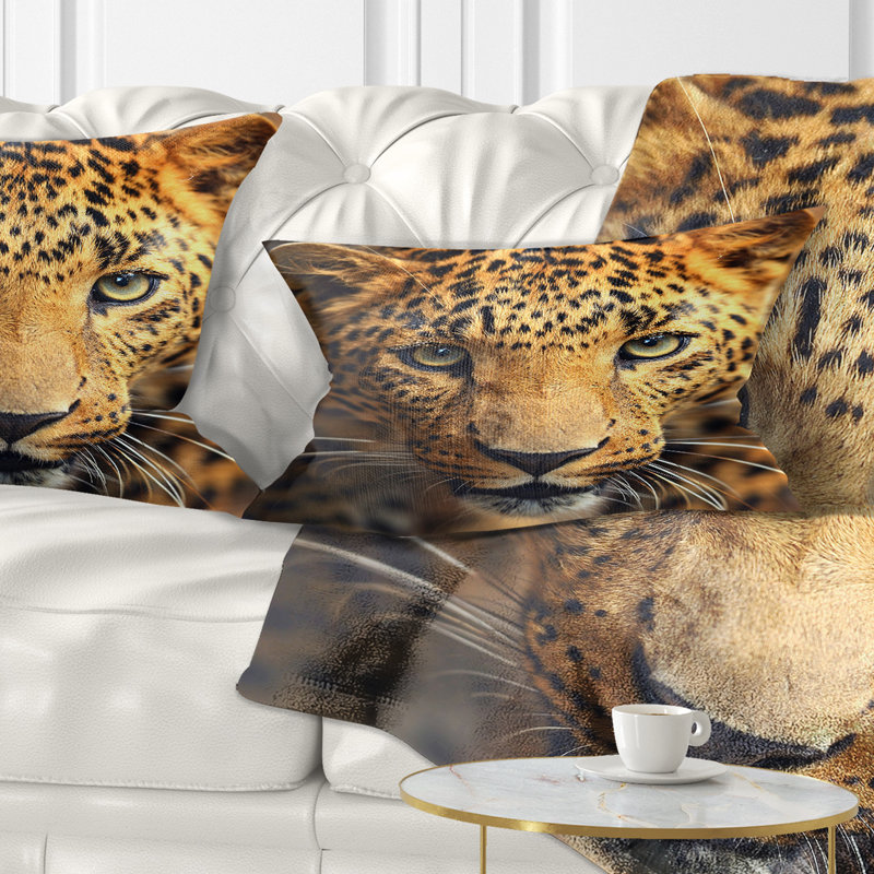 Leopard Face Close Up - Animal Printed Pillow