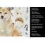 Serviette de cuisine crème Shiba Inu-1234934430