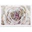 «Winter New York Flower», reproduction d'impression-252315099-252315093