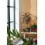 B.For Pot Planter-70004573-70004576