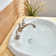 Widespread 2-handle Bathroom Faucet with Drain Assembly
