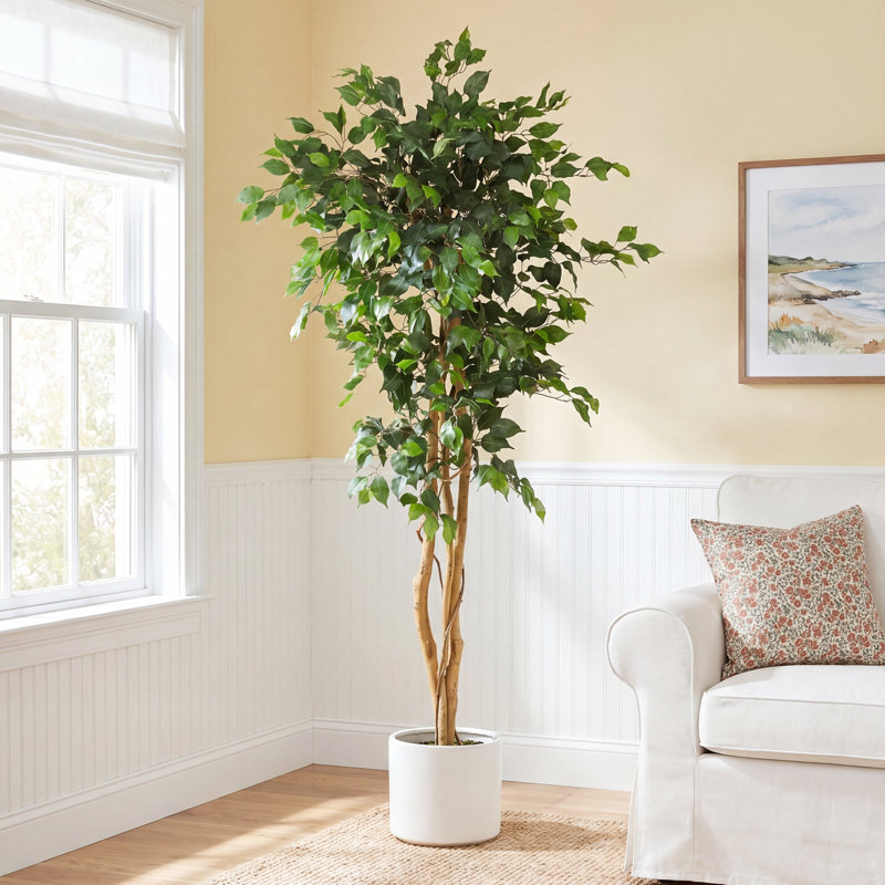 Faux Ficus Tree in Planter, 72" H x 35" W x 35" D