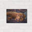 «Beauty Rest» par CR Townsend-1139037811