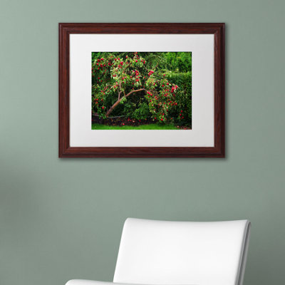 «The Apple Tree» par Philippe Sainte-Laudy - reproduction de photo sur toile encadrée