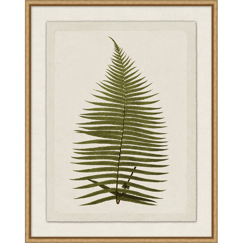 Plant Presses 6 Print by Lillian August
