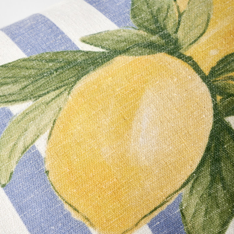 Housse de coussin Lemoncello, Bleu rayé; floral, Coton