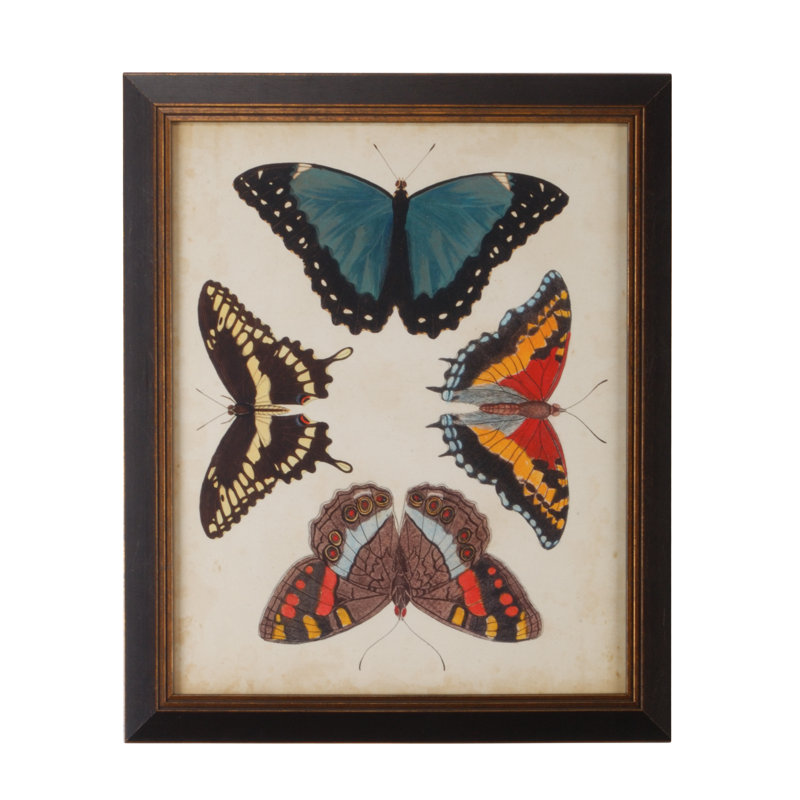 Affichage de papillons I - cadre photo