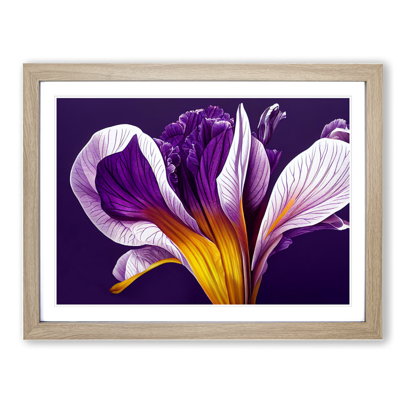 Flourishing Iris Flowers - Single Picture Frame Print, 46cm H x 64cm W x 2cm D, Oak