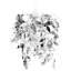 1 - Light Drum Pendant-16938594