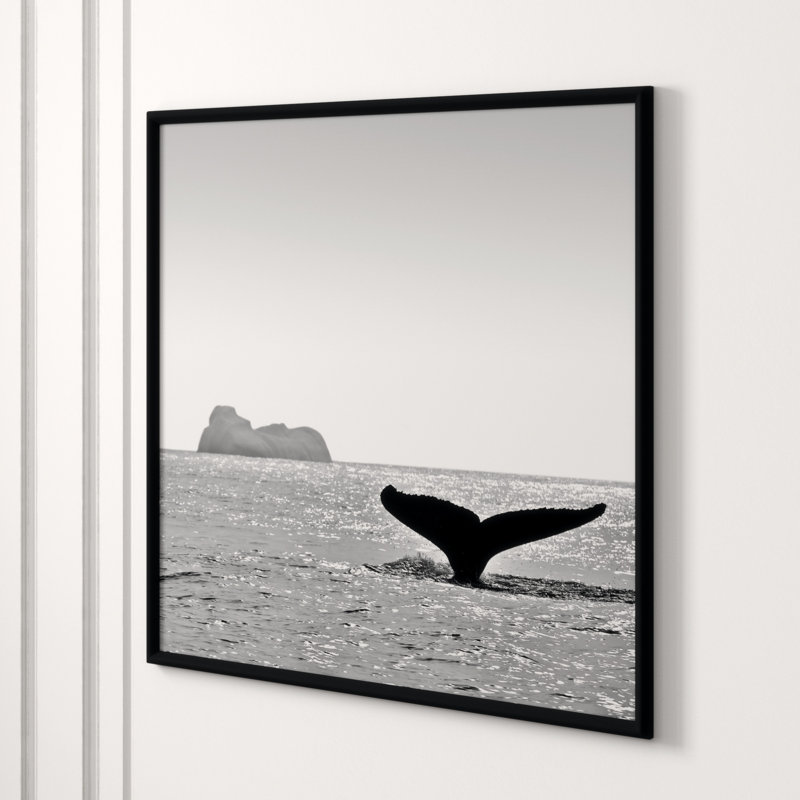 Majestic Orca' Framed Photographic Print