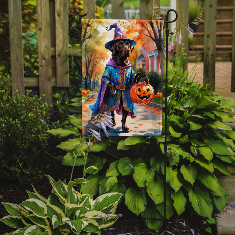 Drapeau du jardin Mastiff, Labrador Retriever chocolat