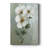 White Fancy I -Gallery Wrapped Cavas-1972985434