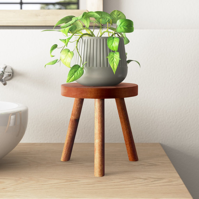 Bucks Plant Stand Natural Cherry