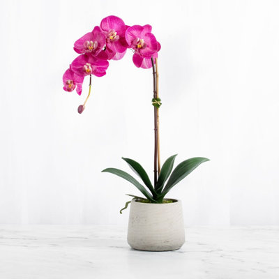 Silk Orchid Arrangement in Planter