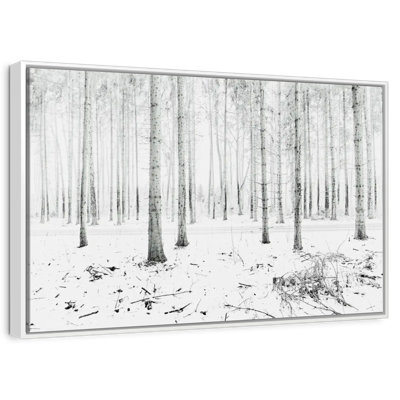 Forêt d'hiver de Langenargen