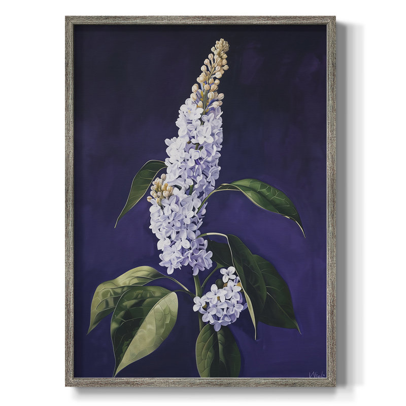 Reproduction encadrée FLORAL Series CCxxviii - bois massif, H 11 po x l 9 po