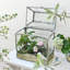 Terrarium en verre vintage avec couvercle - Serre rustique pour plantes grasses-2002302956