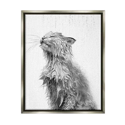" Cat Bathroom Splash "