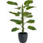 120cm Faux Plant in Cement Pot
