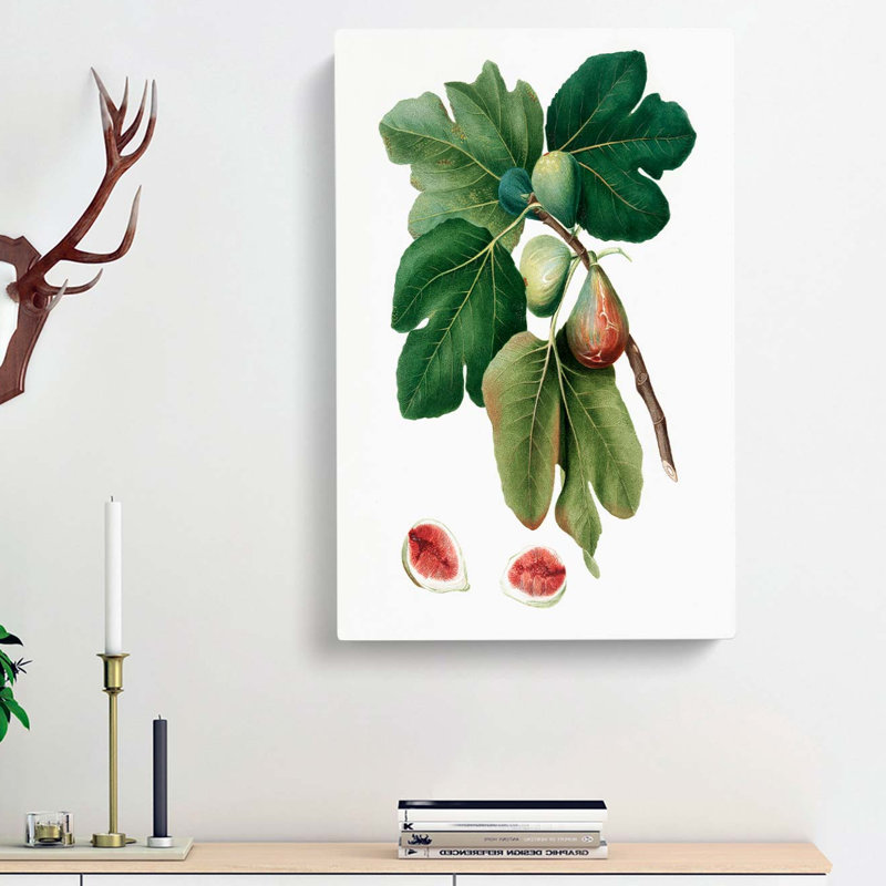 Common Figs by Giorgio Gallesio - Wrapped Canvas Painting, 50cm H x 35cm W x 3cm D