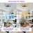20'' Modern Flush Mount Ceiling Fan With Dimmable Led Lights And Remote Control 6-Speed Mute Reversible Motor For Medium Bedroom (Set Of 2)