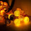 Chieu LED Flush Mounted Sconce