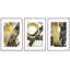 " Gold Black Grunge Paint Stroke Collage Abstract Shapes Neutral Modern Art Decor Contemporary " 3 - Pieces-98696191-98696193