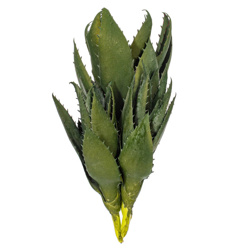 9'' Faux Succulent