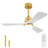 Hot Sales 42 Inch Indoor Ceiling Fan With Dimmable LED Light 3 Solid Wood Blades Remote Control Reversible DC Motor-1452391952
