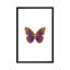 Papillon mauve par Orara Studio - Giclée sur toile tendue avec châssis-74403776-74403777-74403778