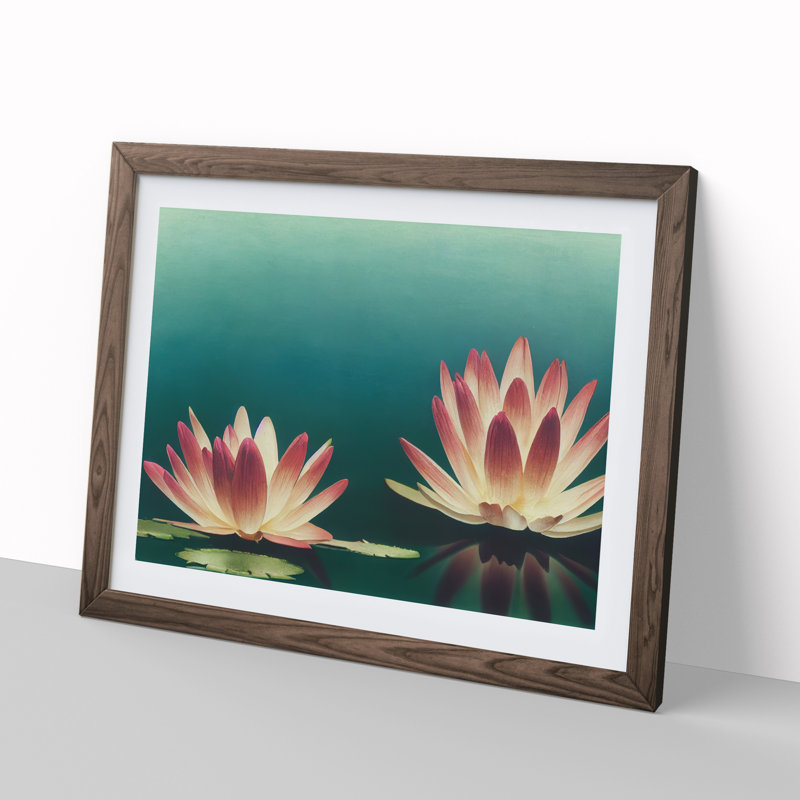 Sensational Water Lily Flowers - Framed Print, 46cm H x 64cm W x 2cm D, Walnut