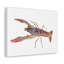 Art mural majestueux Cray Fish