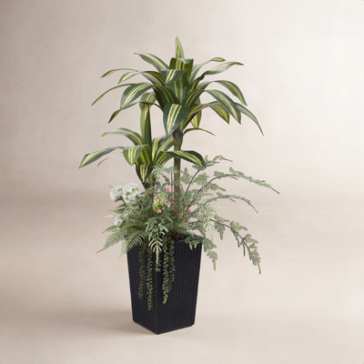 Adcock 48" Dracaena Tree in Decorative Vase