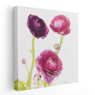 «Spring Ranunculus I», reproduction d'art sur toile