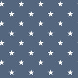 Deauville 2 Geometric Star Design 33' L x 21" W Wallpaper Roll