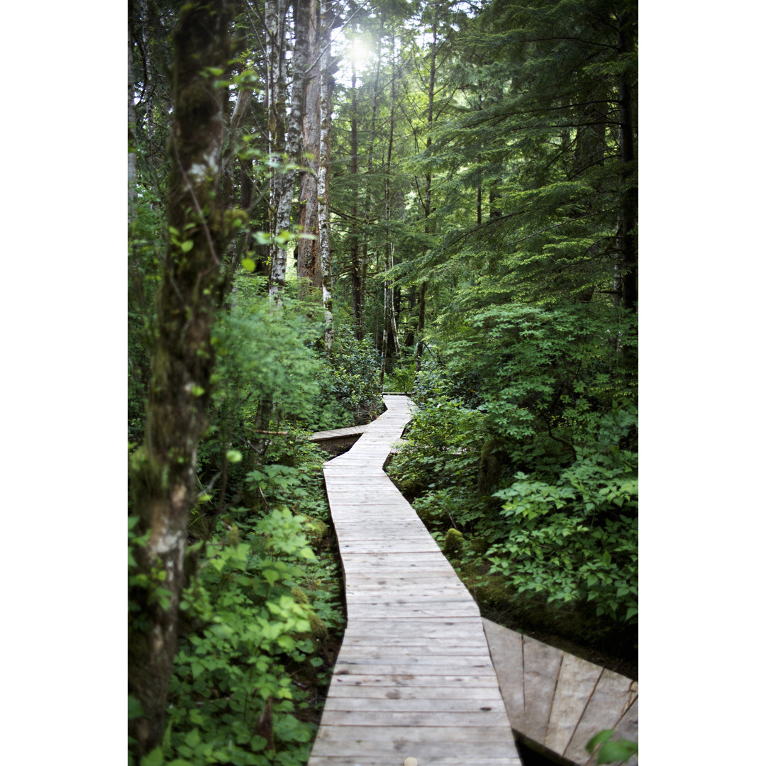 Walkway Through Forest von Ryan McVay - Kunstdrucke ohne Rahmen auf Leinwand