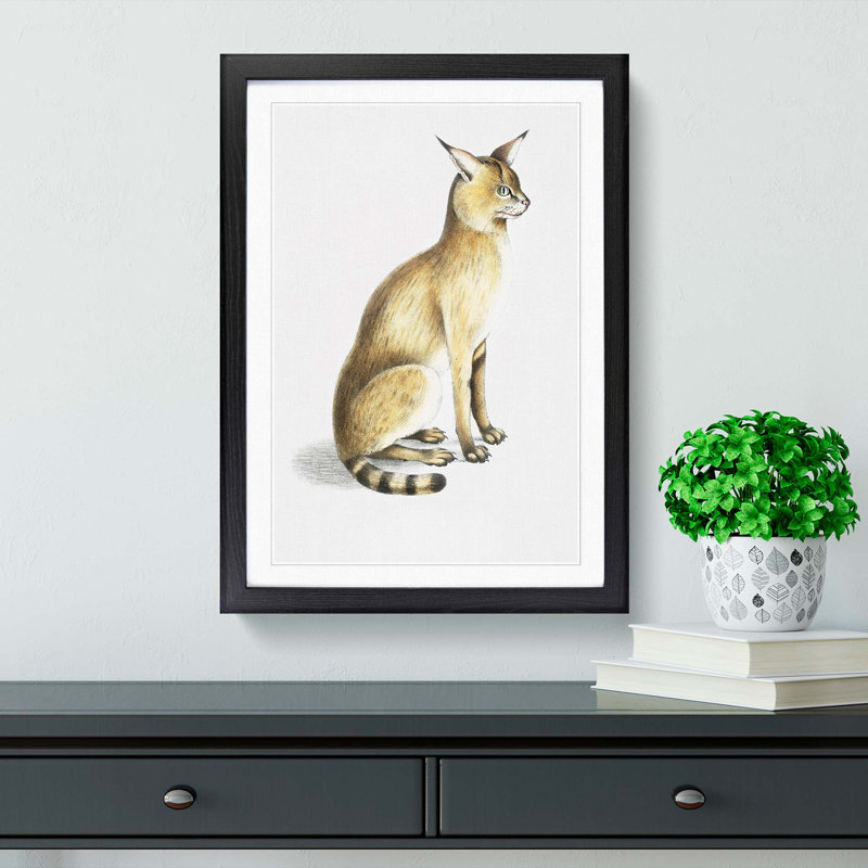 Allied Cat by John Edward Gray - Single Picture Frame Painting, Black Framed, 33cm H x 24cm W x 2cm D