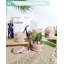 Planter-205235286