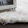 Cream Area Rug