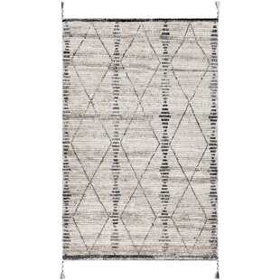 https://assets.wfcdn.com/im/36836487/resize-h310-w310%5Ecompr-r85/1496/149664491/hand-knotted-moroccan-area-rug-in-creamgray.jpg