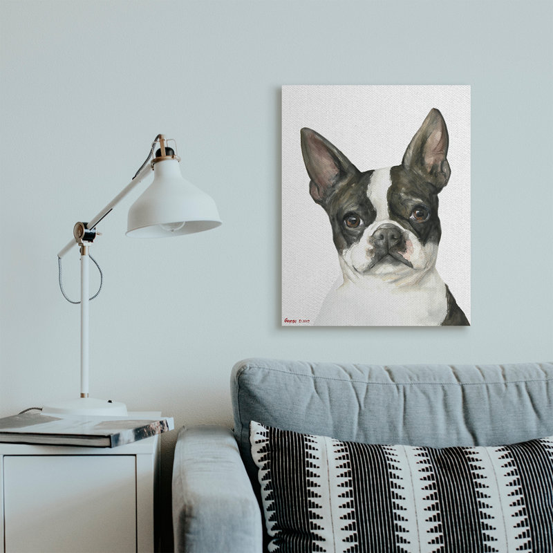 Curieux Boston Terrier Portrait, Toile tendue, H 30 po x l 24 po