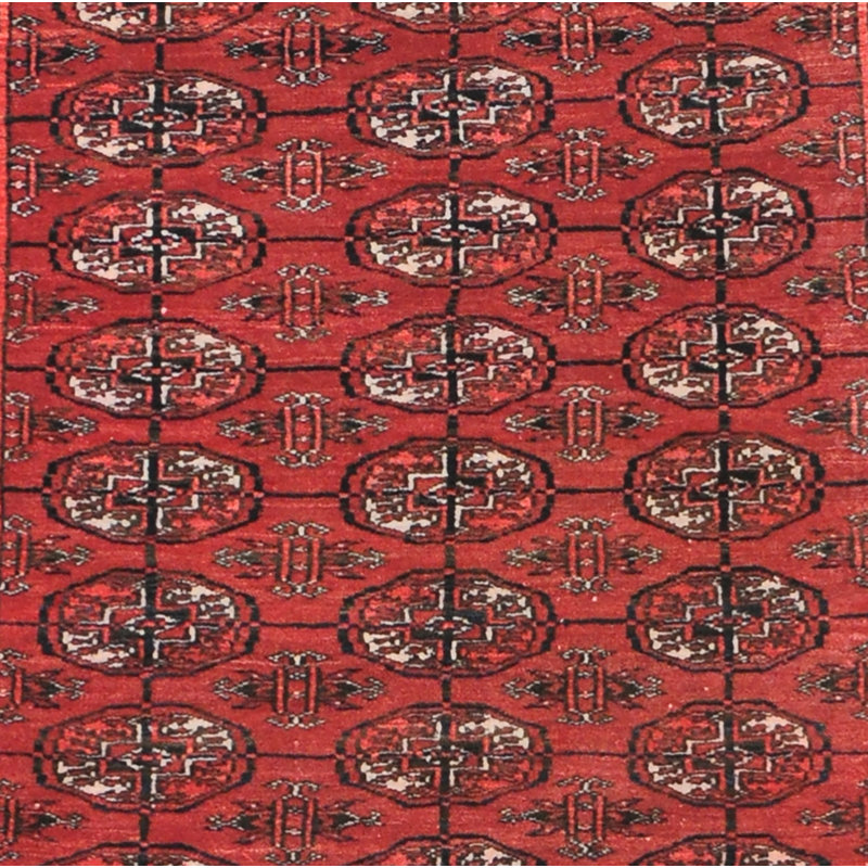Tapis turc en laine noué à la main Dekendra