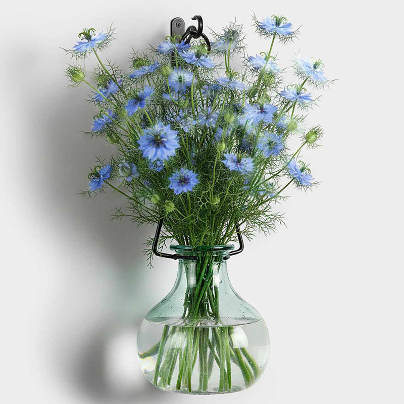 20" Allis Glass Wall Vase with Metal Hanger and Hook, 101 oz Capacity 